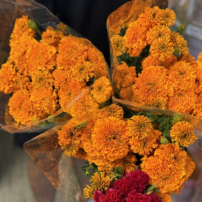 Bouquets of orange marigolds with a cluster of red cockscomb flowers