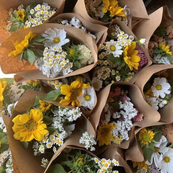 Cafe Seasonal Mix
