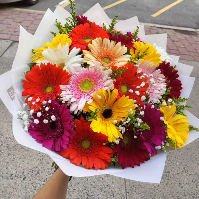 Bright mixed gerbera daisy bouquet wrapped in white paper