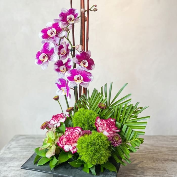 Zen Artistry