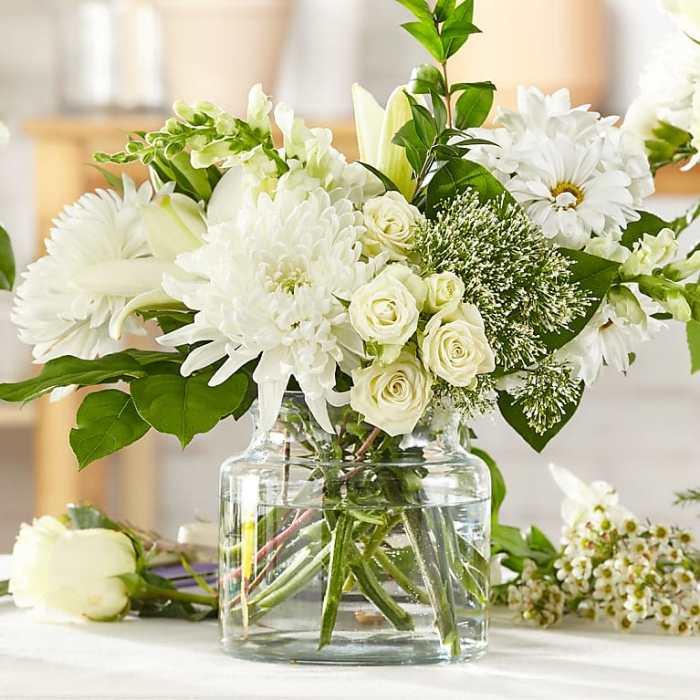Classic Ivory