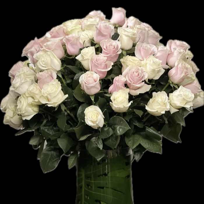Bouquet of pale pink and white roses in a tall glass vase