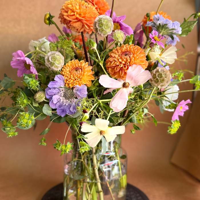 Dahlias on the wild