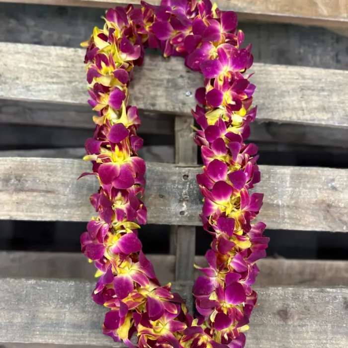 Double Leis - Sunset