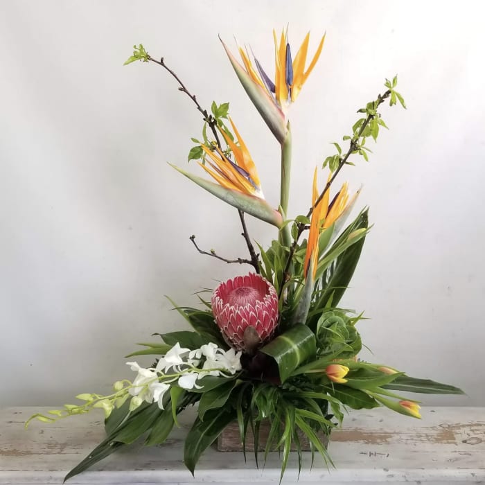 Tropical flower arrangement with bird-of-paradise, protea, orchids, and tulips