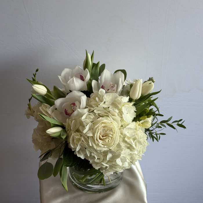 Snowfall Serenity