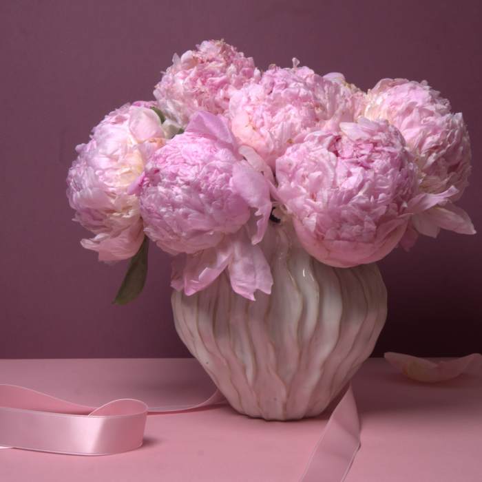 Pink peonies arranged in a white ceramic vase with a pink ribbon