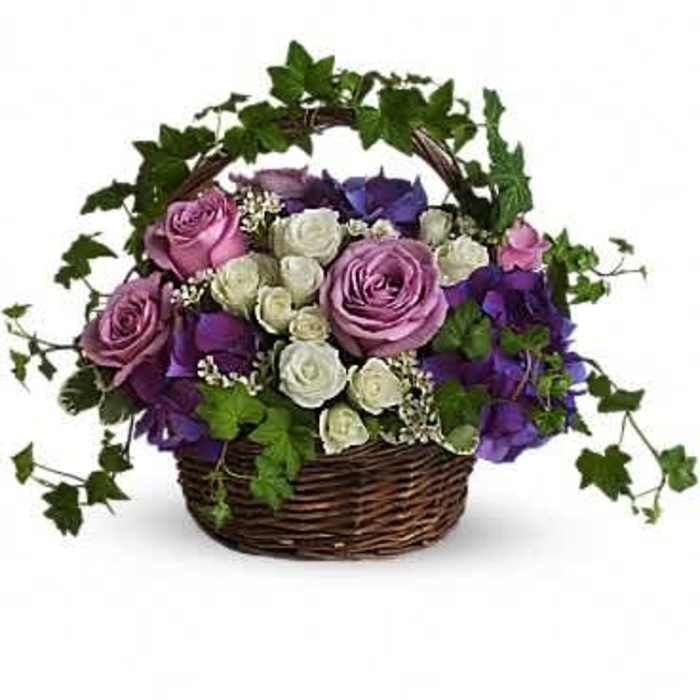 Basket arrangement of purple and white roses with ivy trailing around the handle