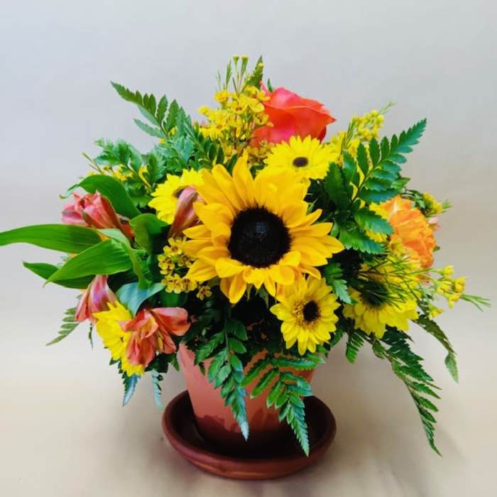 Mixed bouquet with sunflowers and orange roses in a terracotta pot