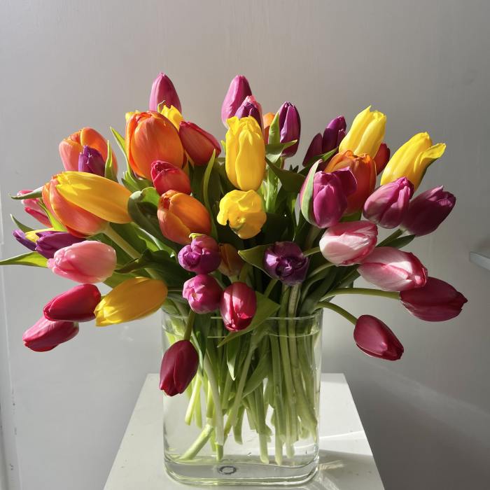 Colorful tulips arranged in a clear glass vase