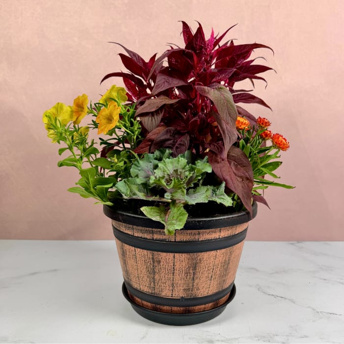 Potted mixed plant arrangement with yellow and orange blooms