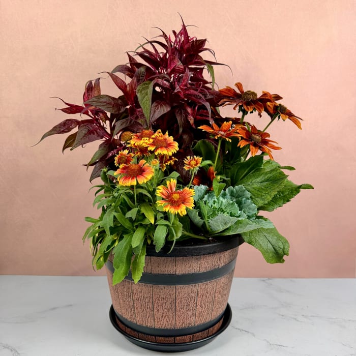 Potted arrangement of orange and yellow flowers with burgundy foliage in a wooden-look container