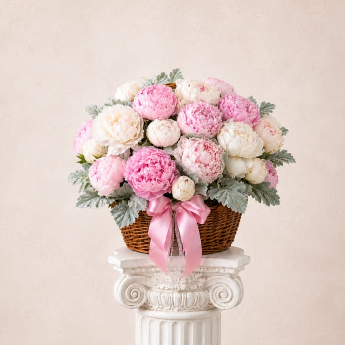 Peony Cloud