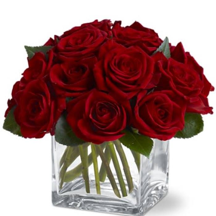 Compact arrangement of red roses in a clear glass cube vase