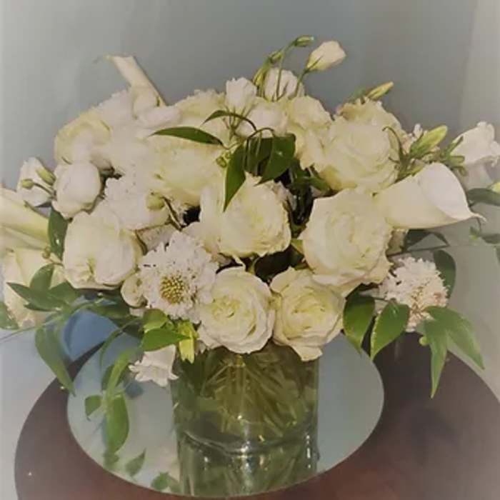 Ultra Posh