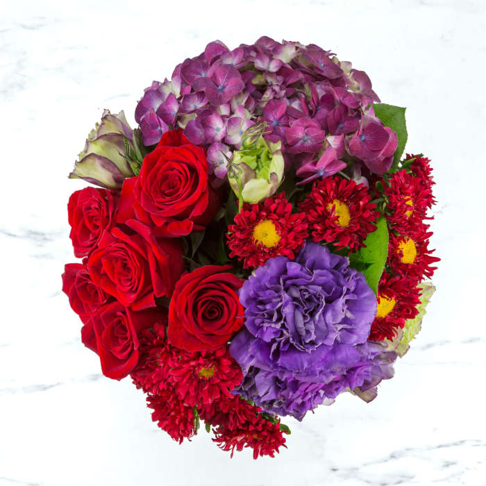 Garnet by BloomNation™