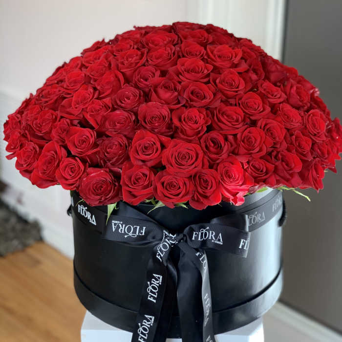 THE ONE