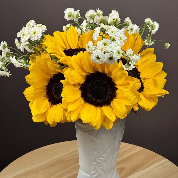 Sunflowers and white daisy-like flowers arranged in a white boot vase