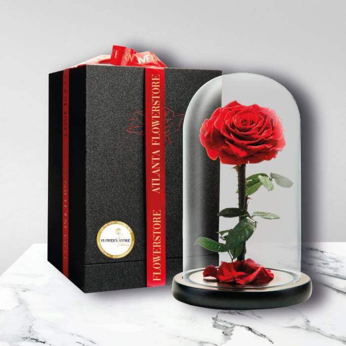 Single red rose under a glass dome beside a black gift box