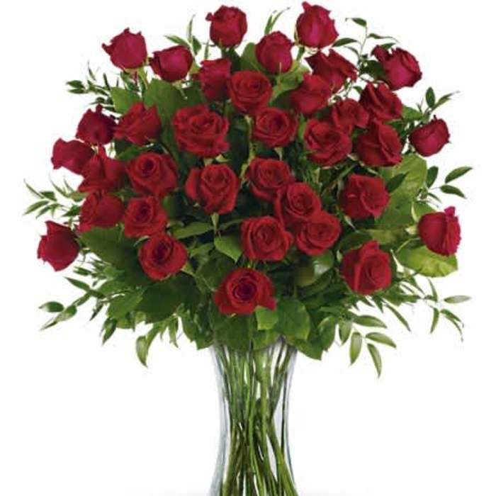Breathtaking Beauty - 3 Dozen Long Stemmed Roses - by Zahn's Flowers & More