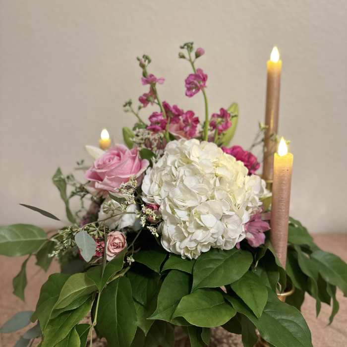 Blush Bloom