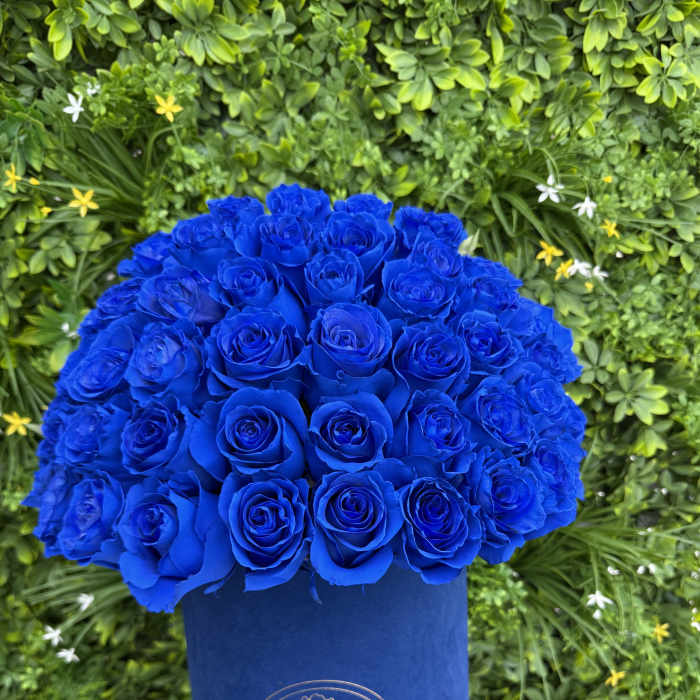 Van Nuys Florist | Flower Delivery by LiNa Garden