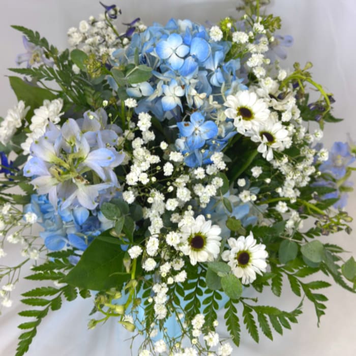 Baby Blue