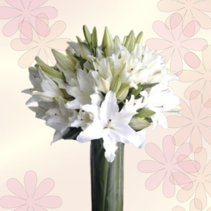 A Valley of Lilies