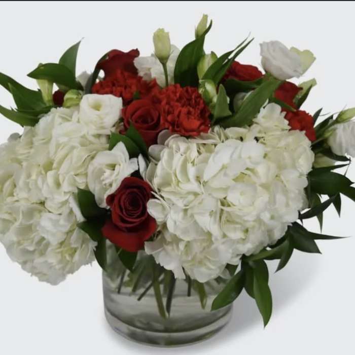 Red and White Floral