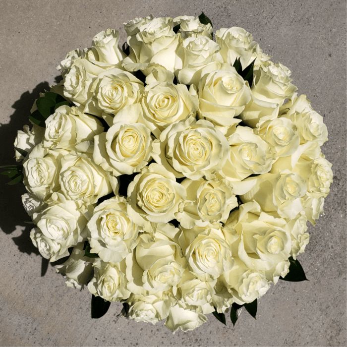 Round bouquet of white roses with dark green leaves