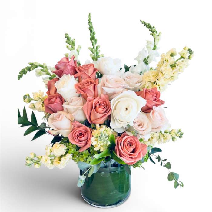 The Alia | Timeless Elegance