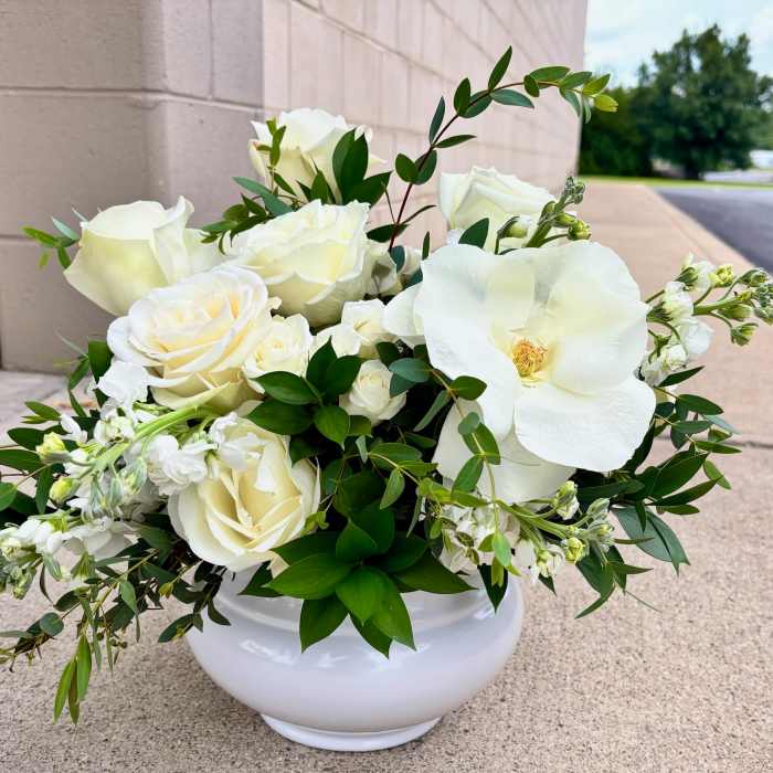 The Noor | Modern and Elegant