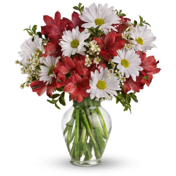 Mixed bouquet of red alstroemeria and white daisies in a clear glass vase