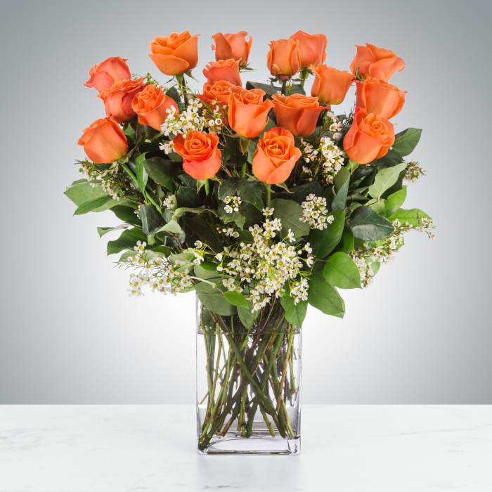 Long Stem Coral Roses by PETALS™