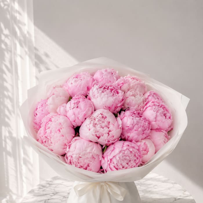 Peony Dream