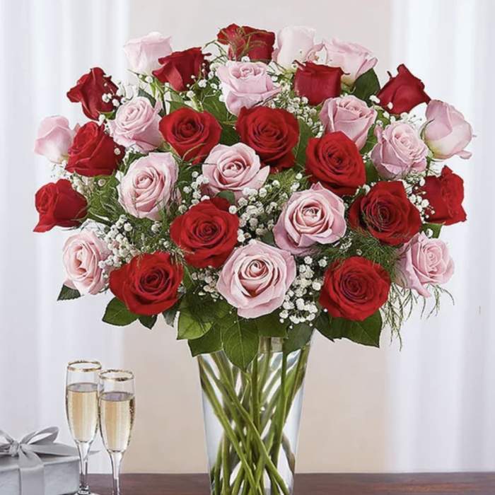 Ultimate Elegance Pink & Red Roses