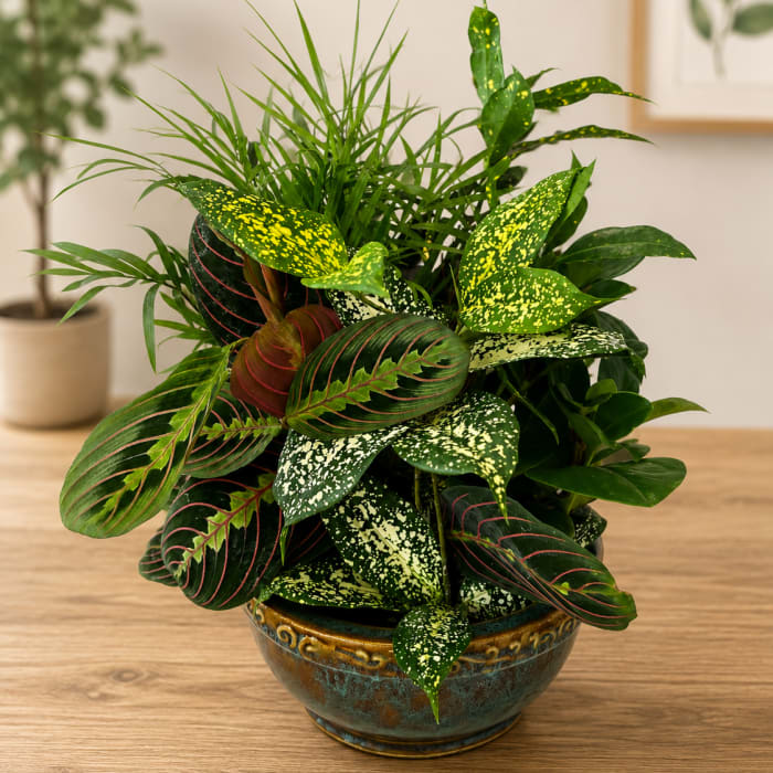 Emerald Oasis Ceramic Garden
