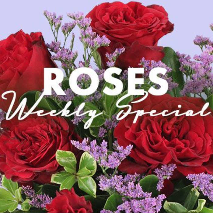 Rose Special Designer's Choice