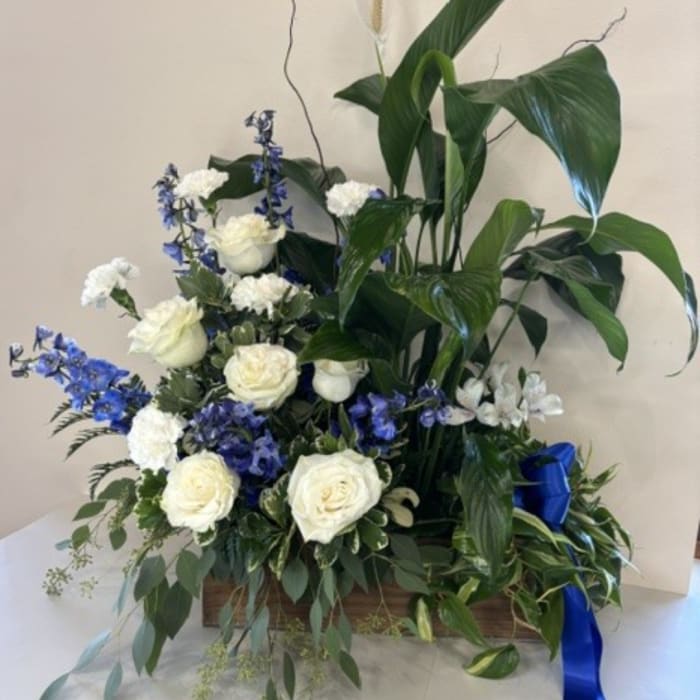 White roses and blue flowers arranged with tall green foliage in a wooden box