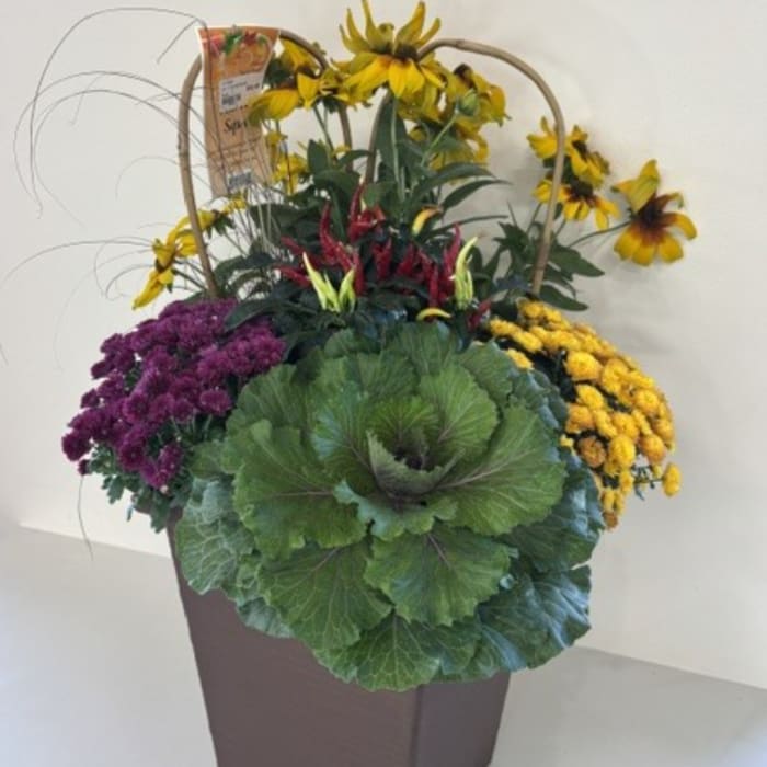 Mixed potted arrangement with yellow daisies and purple blooms in a tall container