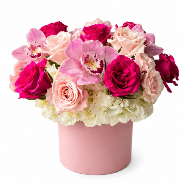 Pink and cream roses with pink orchids in a blush round box