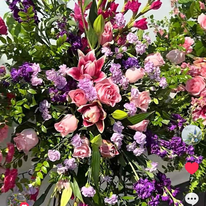 Magenta Majesty