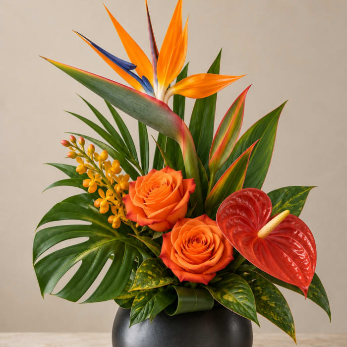 Tropical arrangement with orange roses, bird of paradise, and red anthurium in a black vase