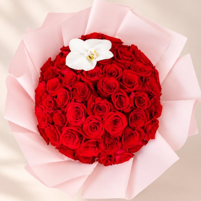 Round bouquet of red roses with a white orchid accent in pale pink wrap