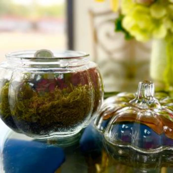 Glass pumpkin-shaped containers with moss and flowers inside