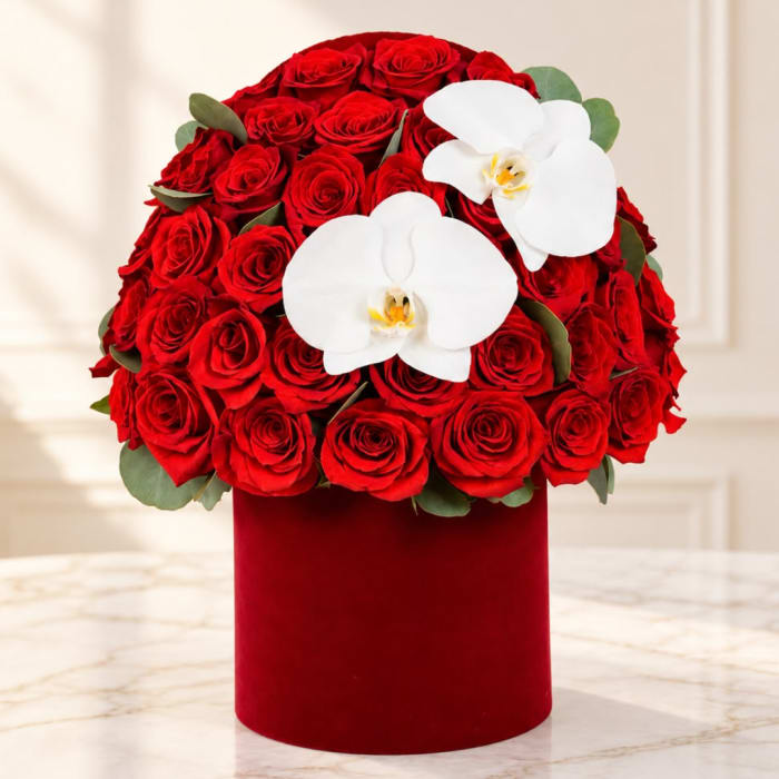 Red roses and white orchids arranged in a red velvet box