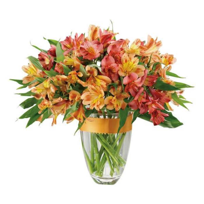 Orange and pink alstroemeria in a clear glass vase with a ribbon