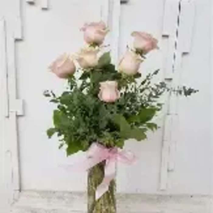 Half dozen Light pink roses