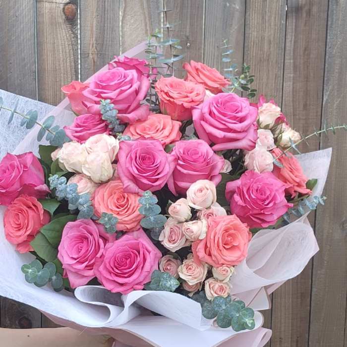 Blush of Grace
