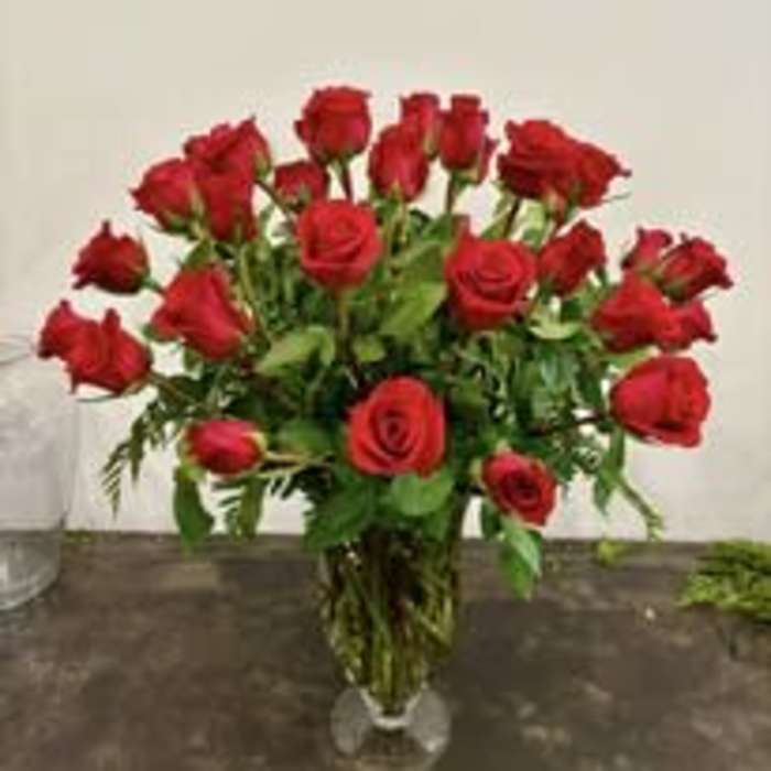 Two Dozen Long Stemmed Red Roses